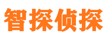 容县市私人侦探